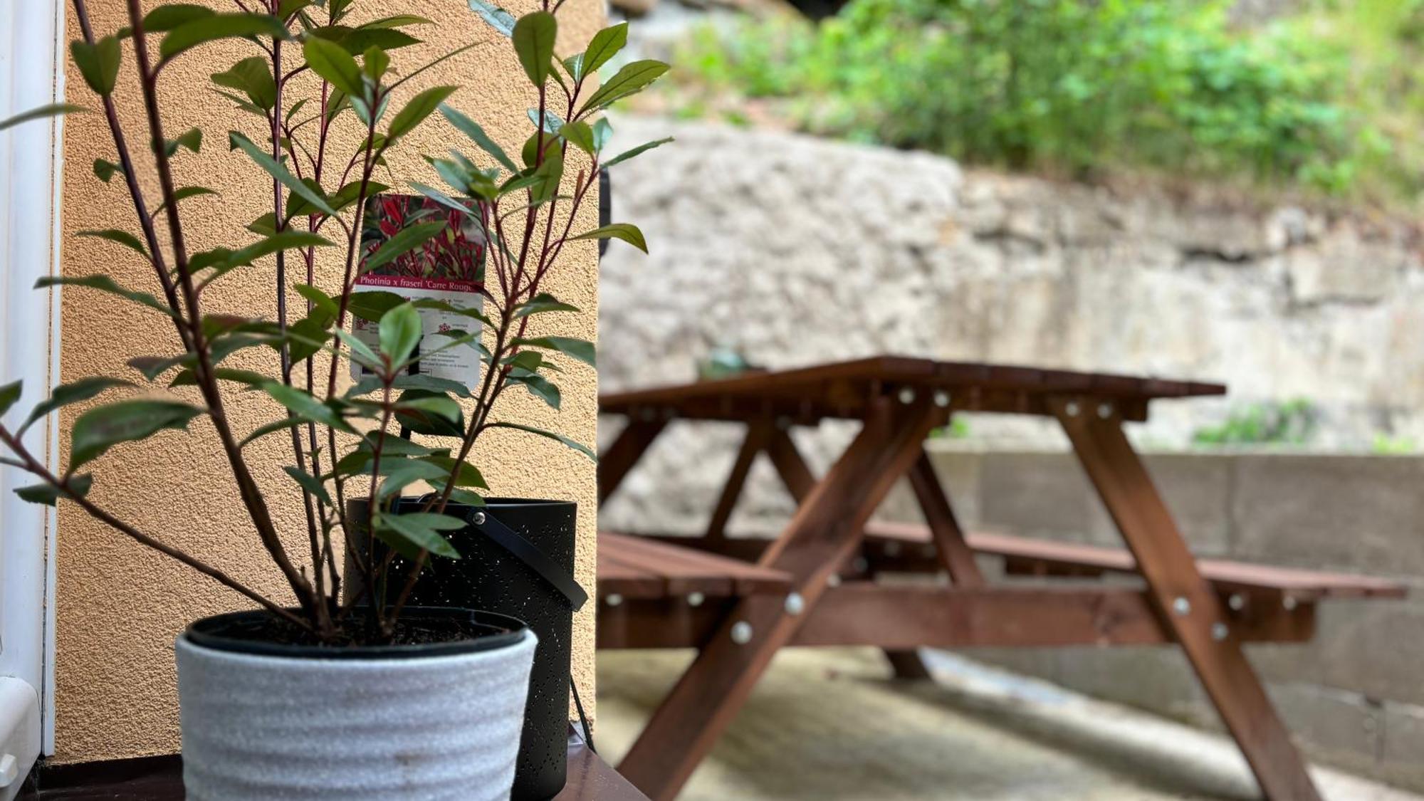 Remote Work Friendly Zahradni Apartman U Jezera Staré Splavy Esterno foto
